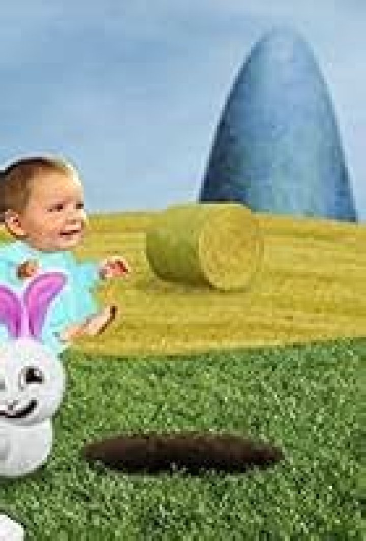 Adamo Bertacchi-Morroni Net Worth, Income, Salary, Earnings, Biography