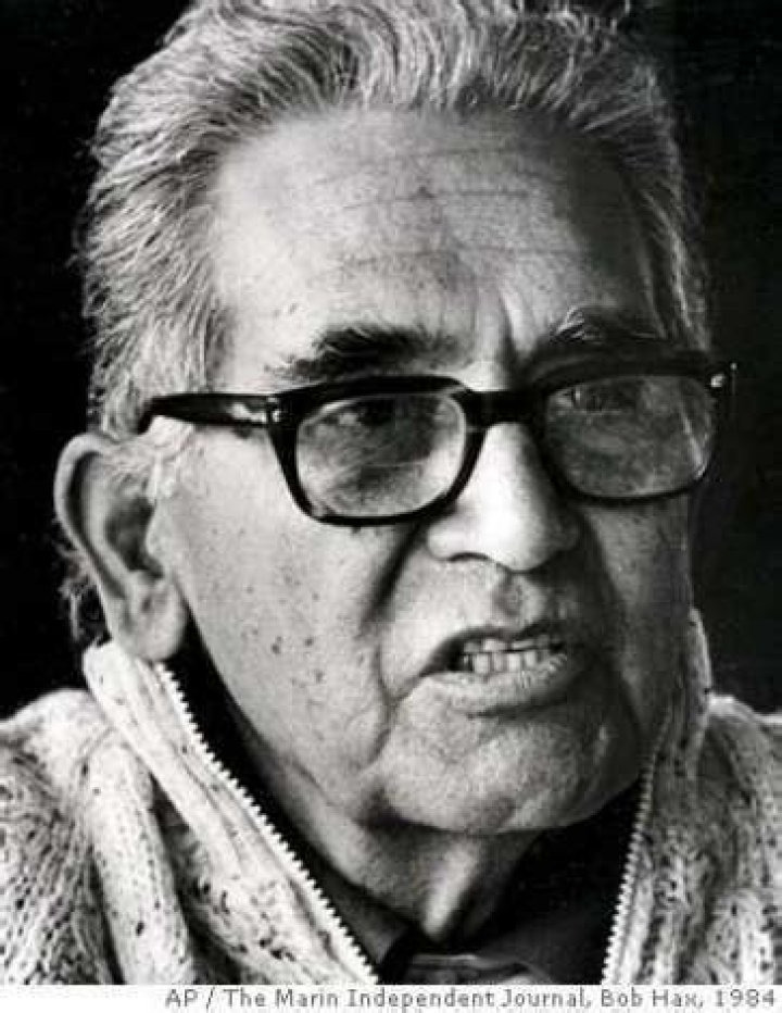 Albert Baez (Physicist) - Age, Birthday, Bio, Facts, Family, Net Worth, Height & More