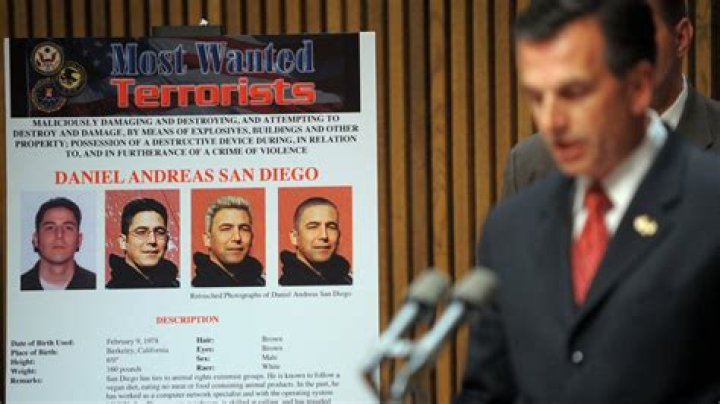 Andreas Wellinger (Skier) - Age, Birthday, Bio, Facts, Family, Net Worth, Height & More