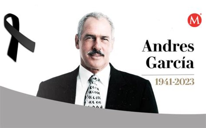 Andrés García (Actor de Televisión) - Edad, cumpleaños, biografía, hechos, familia, patrimonio neto, altura y más