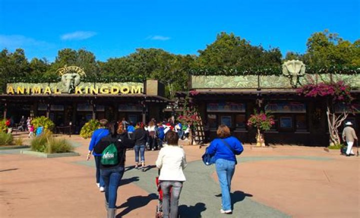 ¿Animal Kingdom tiene juegos acuáticos? – Celebrity.fm