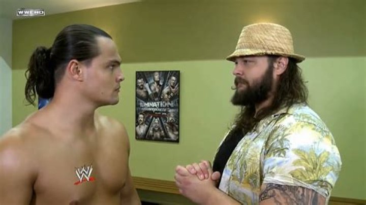 Are Bo Dallas and Bray Wyatt brothers?