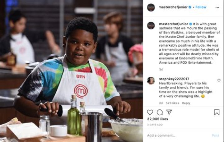 Ben Watkins (Masterchef Junior) Wiki, Age, Bio, Parents, Suicide, Cause of Death, Obituary, GoFundMe, Instagram