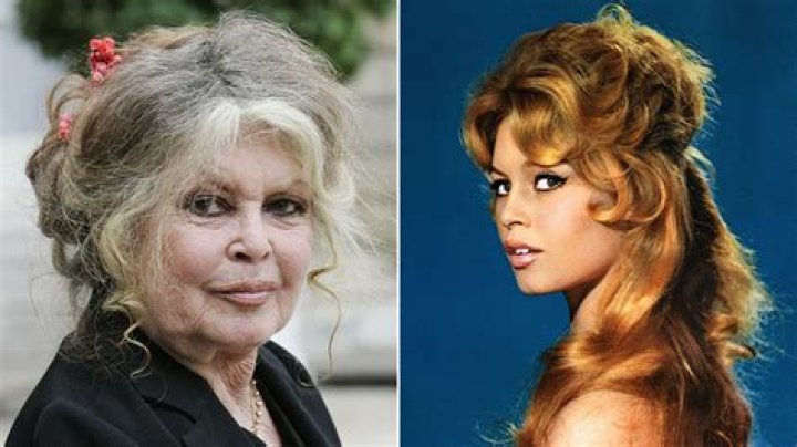 Brigitte Bardot (Movie Actress) - Age, Birthday, Bio, Facts, Family, Net Worth, Height & More
