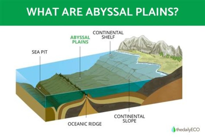 Characteristics of abyssal plain