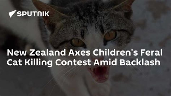 Children's Cat-Killing Contest Canceled Over Backlash