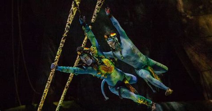 Cirque du Soleil Performer Yann Arnaud Went to Disney World With His Wife and Daughter Days Before His Death