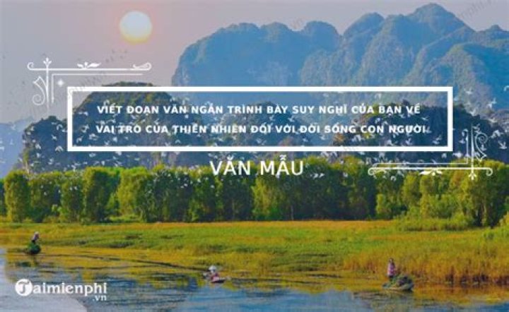 Cô gái trong tầng hầm là một câu chuyện có thật? - Celebrity.fm