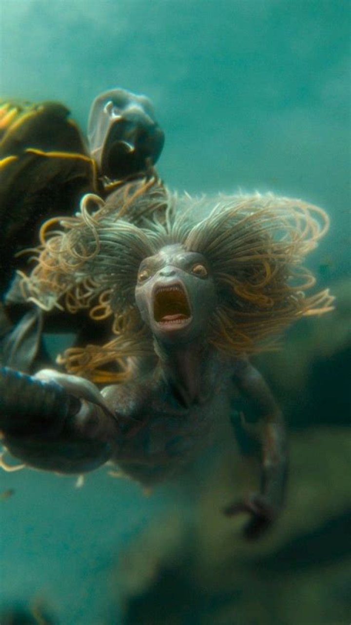 ¿Cómo se llaman las sirenas de Harry Potter?