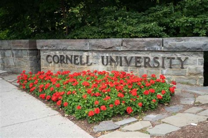 
Cornell Suspends Fraternity Activities While Investigating Sexual Assault, Drugged Drinks 