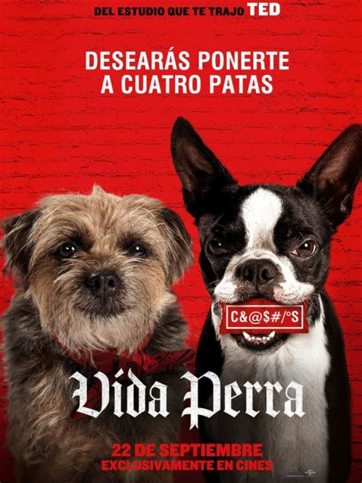 ¿Cuál es la película de perros más triste?