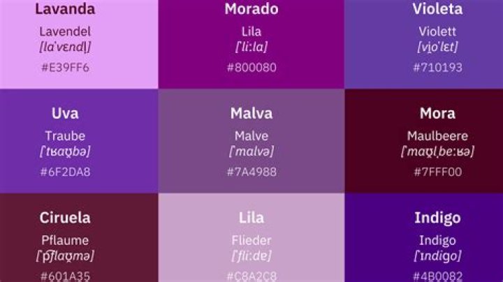 ¿Cuáles son los diferentes colores del morado?