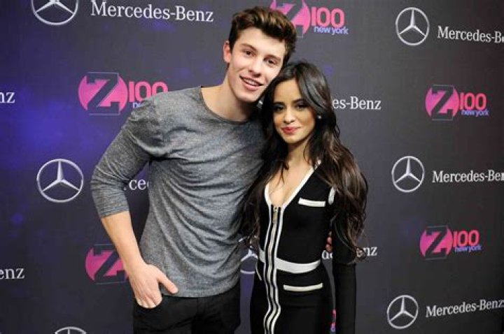 Cute Couple! Camila Cabello and Shawn Mendes Stun at 1st Met Gala Together: Photos