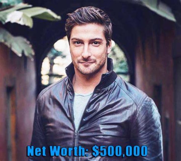 Daniel Lissing Net Worth, Income, Salary, Earnings, Biography