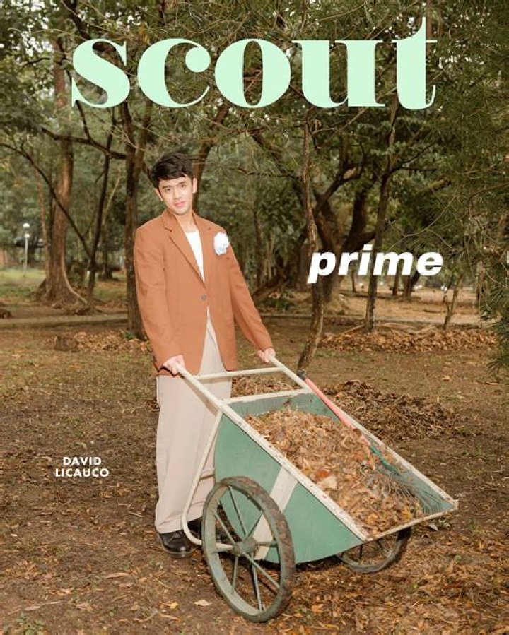 David Licauco Height, Weight, Net Worth, Age, Birthday, Wikipedia, Who, Instagram, Biography