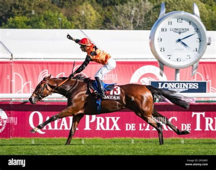 De quelle race est Lark Voorhies ?