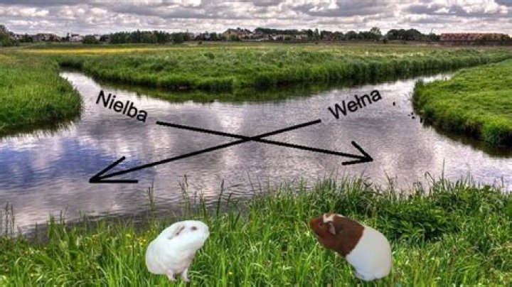 Dlaczego rzeka Hudson jest tak brudna?