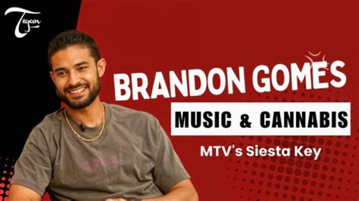 Does Brandon Siesta Key have a kid? – Celebrity.fm – #1 Official Stars, Business & People Network, Wiki, Success story, Biography & Quotes