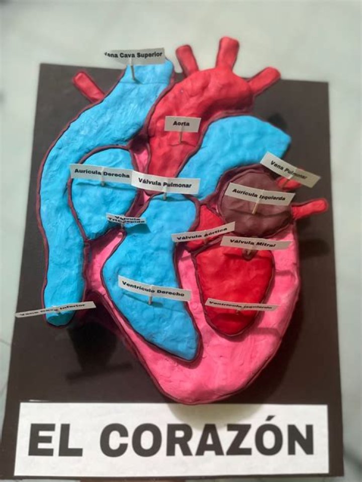 ¿El corazón en Instagram significa me gusta? – Celebrity.fm