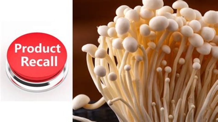 
Enoki Mushroom recall: QR code and more amid Listeria fears 