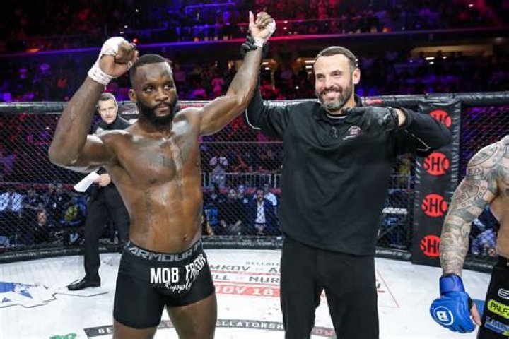 Gegard Mousasi (MMA Fighter) - Age, Birthday, Bio, Facts, Family, Net Worth, Height & More