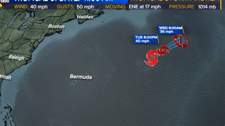 Get It, Girl! Whitney Thore Twerks Up a Storm While Working Out With Her ‘Boys’