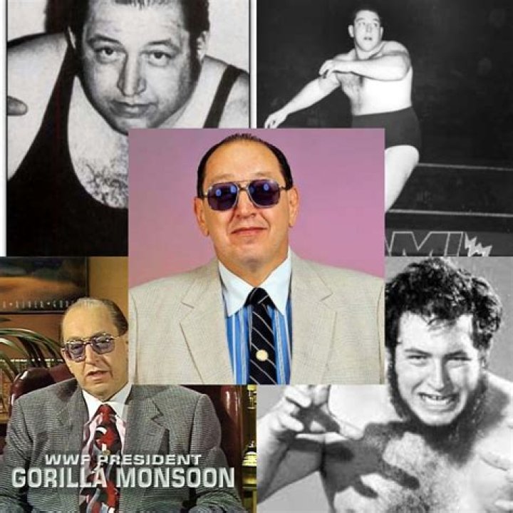 Gorilla Monsoon (Wrestler) - Age, Birthday, Bio, Facts, Family, Net Worth, Height & More
