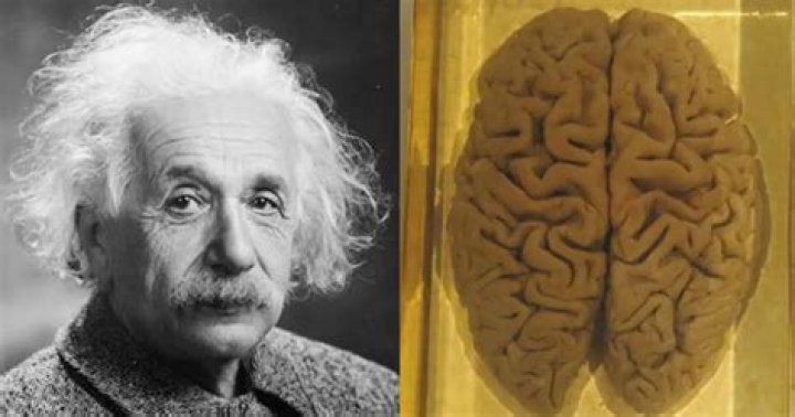 How Did Albert Einstein Die? Inside His Tragic Final Days
