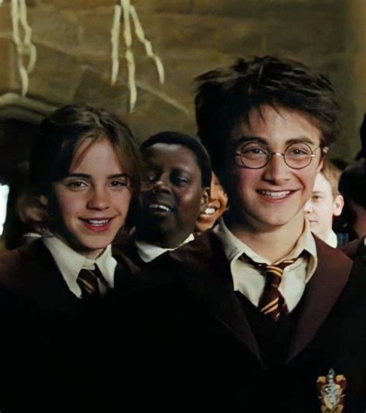 How long were Harry and Hermione on the run without Ron?