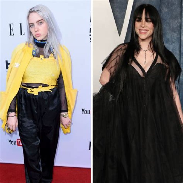 How much does Billie Eilish have? – Celebrity.fm – #1 Official Stars, Business & People Network, Wiki, Success story, Biography & Quotes
