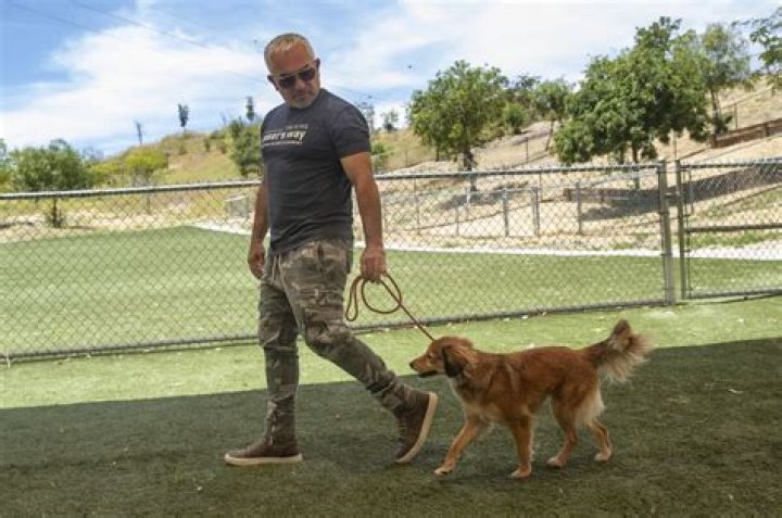 How much does Cesar Millan charge for dog training?