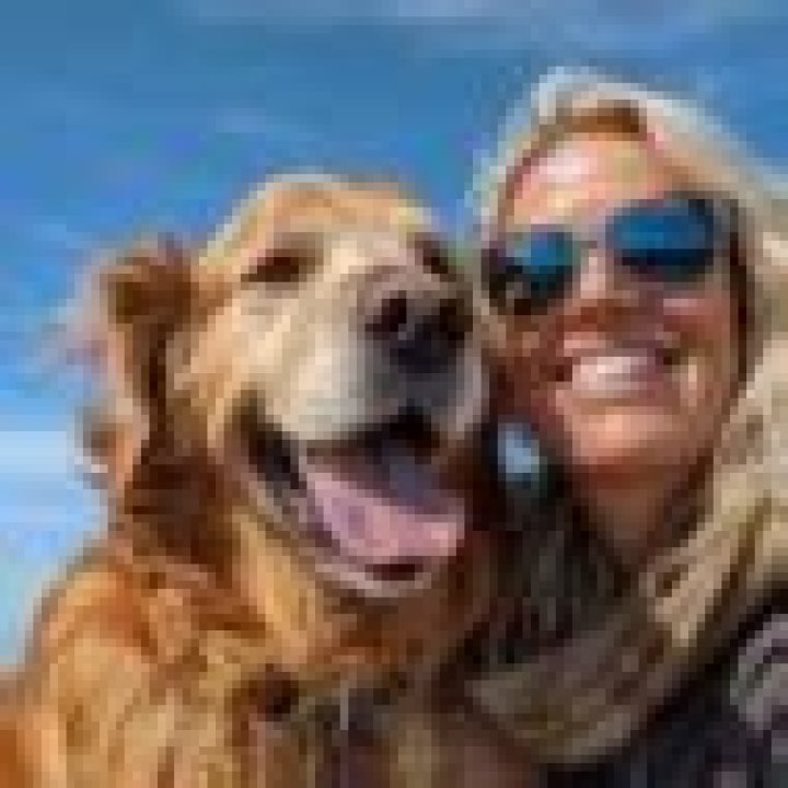 How much does Cesar Millan charge to train dogs?