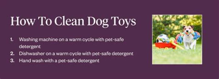How to clean dog toys
