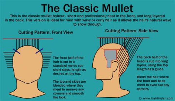 How to cut a mullet haircut