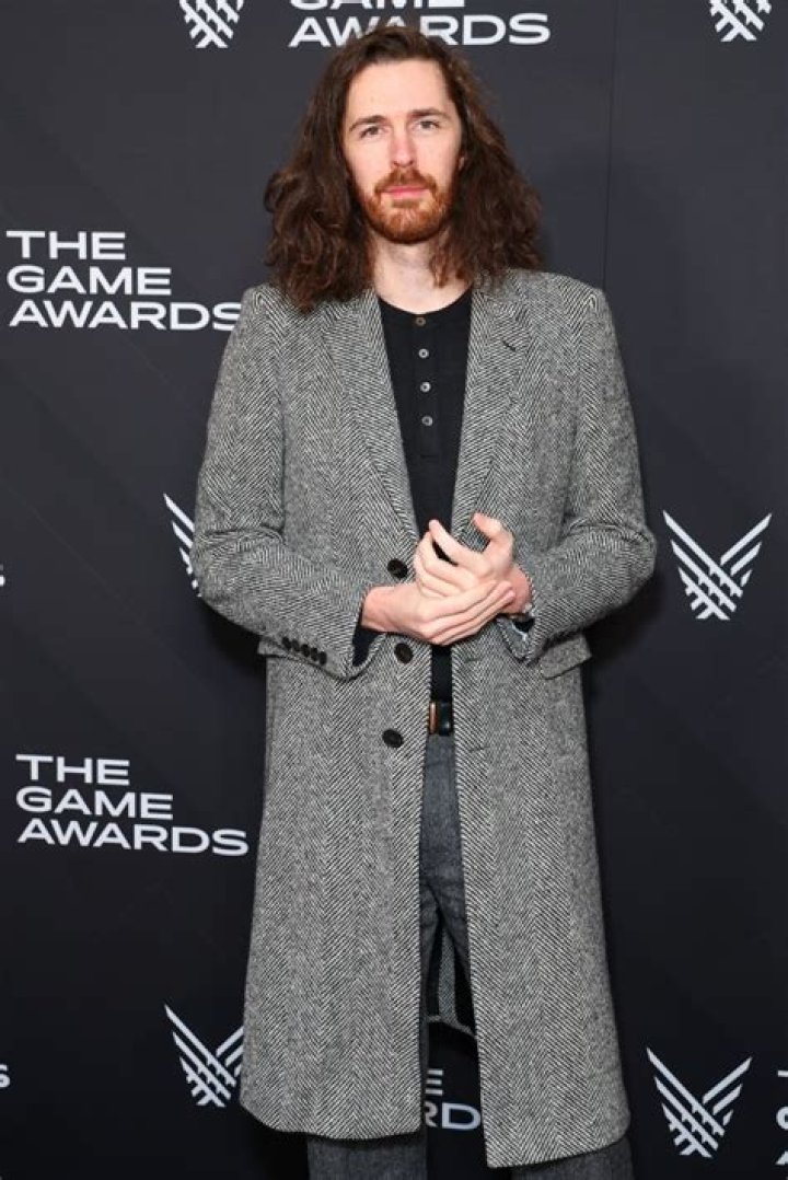 Hozier Bio & Wiki: Net Worth, Age, Height & Weight