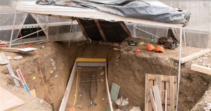 Iron Age Celtic Woman Found Buried In A Hollow Tree Trunk In Zurich