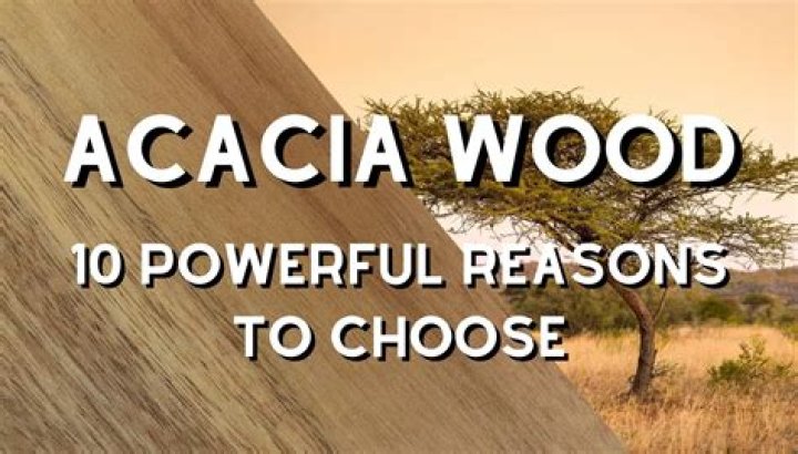 Is acacia wood wand good? – Celebrity.fm – #1 Official Stars, Business & People Network, Wiki, Success story, Biography & Quotes