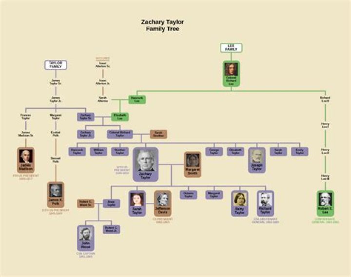 Is Eliza Taylor Related To Rachael Taylor? Facts And Relation Between Them, Everything About Them