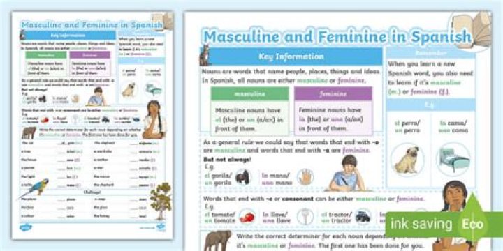 Is map feminine or masculine in spanish