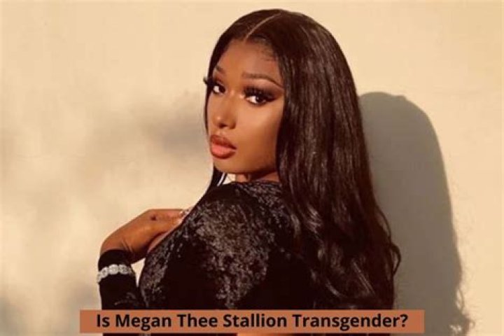 Is Megan Thee Stallion A Woman Or A Man? Transgender Rumors