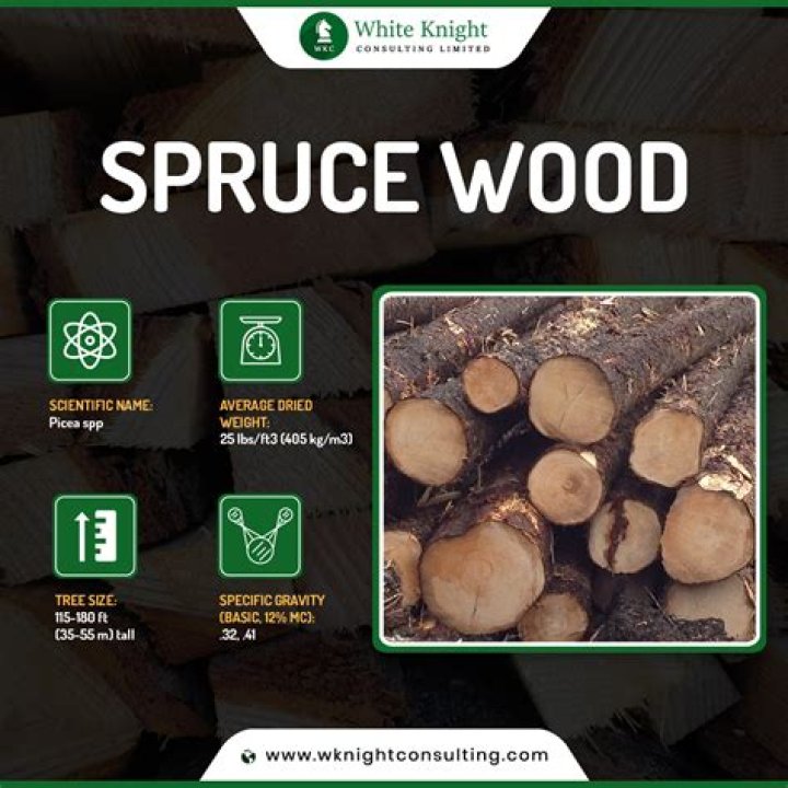 Is spruce wood wand good? – Celebrity.fm – #1 Official Stars, Business & People Network, Wiki, Success story, Biography & Quotes