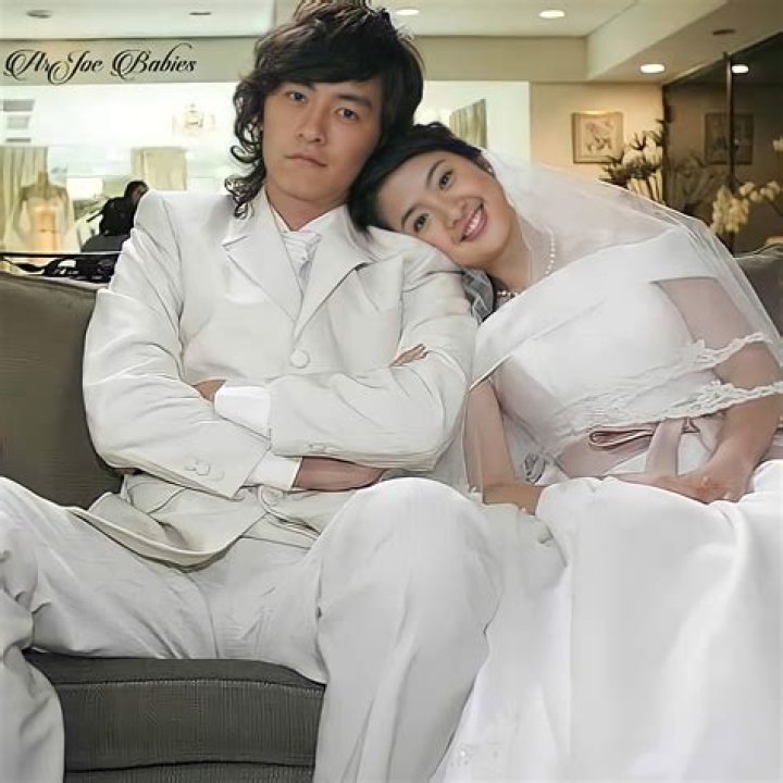 Joe Cheng Wiki-Bio, Wife, ariel lin, net worth, girlfriend. 2022