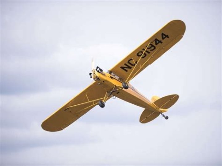 Lake Forest Plane Crash Update, Who Is Kylie Murray?