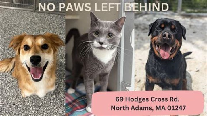 
Leave No Paws Behind Allegations: What Happened? Twitter Reaction 