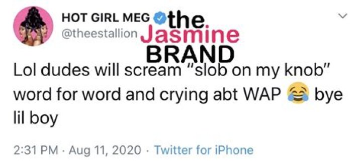 Megan Thee Stallion Calls Out "Dudes" Who Criticize "WAP" & Not "Slob On My Knob"