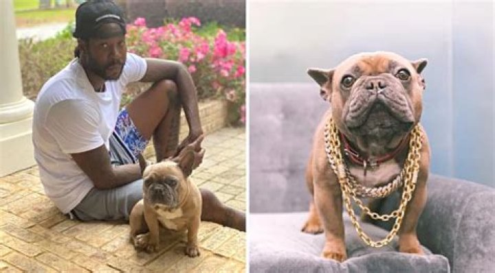 Megan Thee Stallion Meets Rap's Most Famous Dogs, Including 2 Chainz's Trappy