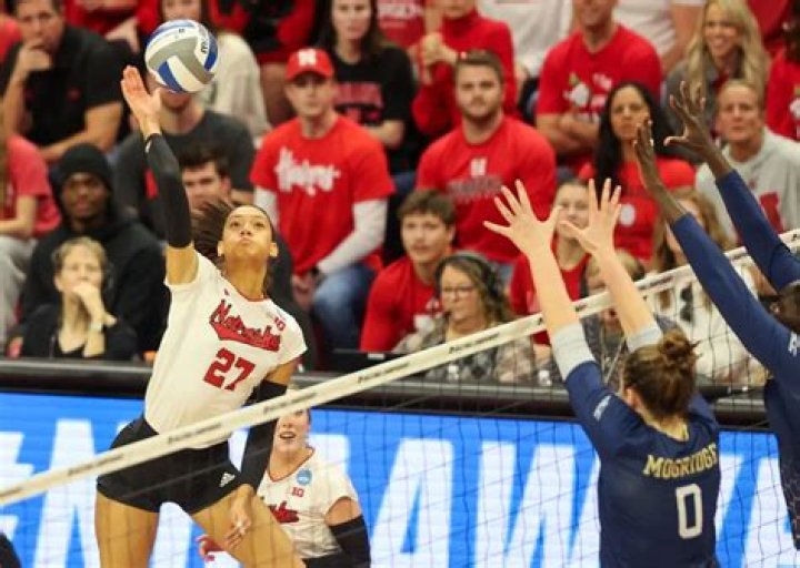 Natasha Murray Height, Weight, Net Worth, Age, Birthday, Wikipedia, Who, Nationality, Biography