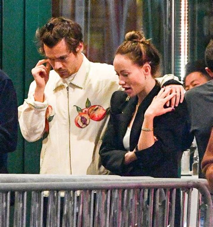 New Couple Alert? Harry Styles and Olivia Wilde Spotted Holding Hands Following Jason Sudeikis Split