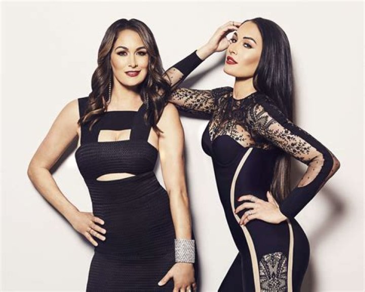 Nikki And Brie Bella Are Pregnant At The Same Time!