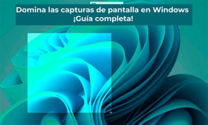 ¿OnlyFans sabe si capturas de pantalla? – Celebrity.fm